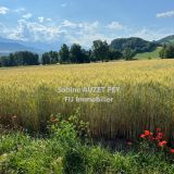 Terrain 10410 m² / SELONNET / 04140